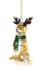 dog with lights ornament