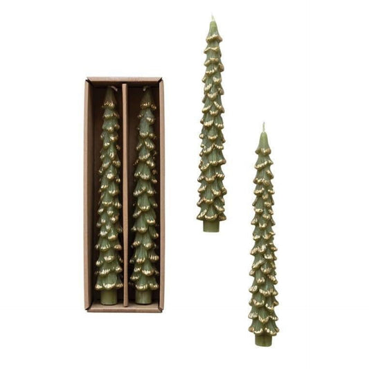 Unscented Tree Shaped Taper Candles w/ Gold Tips in Box, Evergreen Color